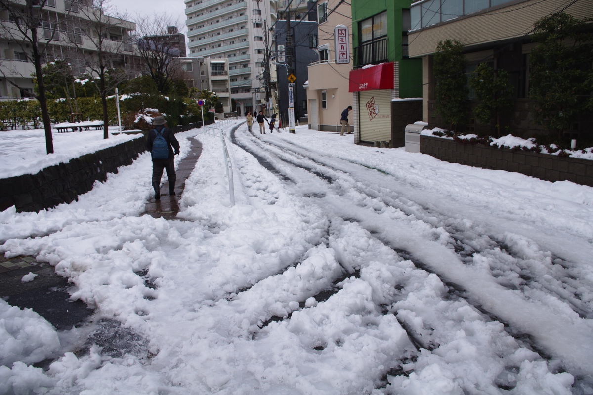 tokyo-snow-fall2014